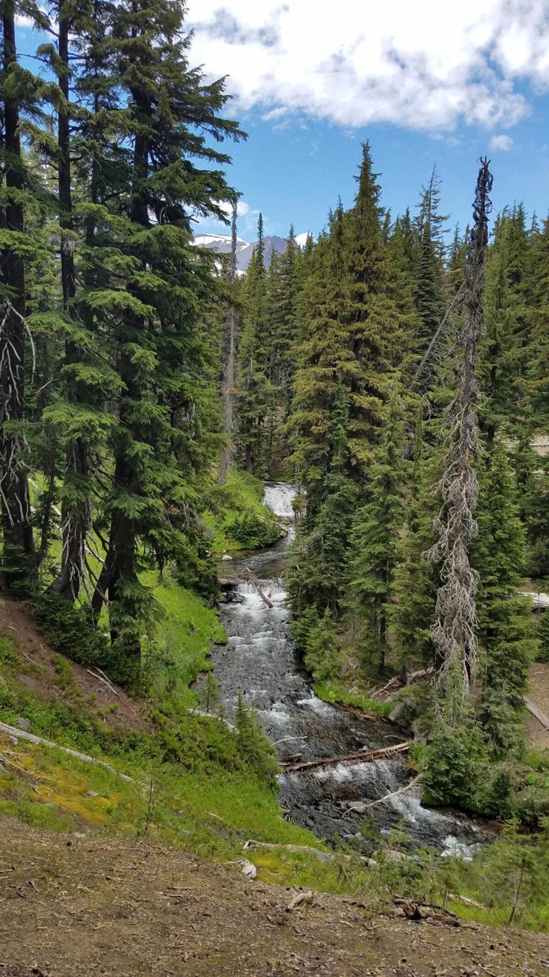 Mt. Bachelor & Sun River Get Away Bend Exteriér fotografie